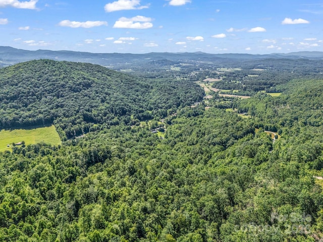 TBD Climbing Rd, Hendersonville, NC 28792