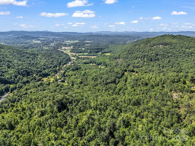 TBD Climbing Rd, Hendersonville, NC 28792