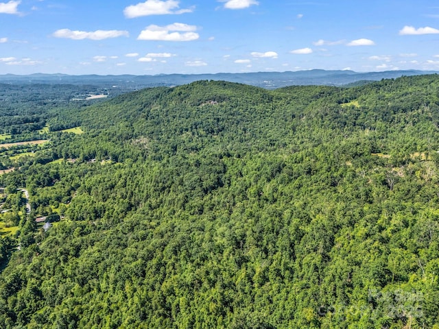 TBD Climbing Rd, Hendersonville, NC 28792