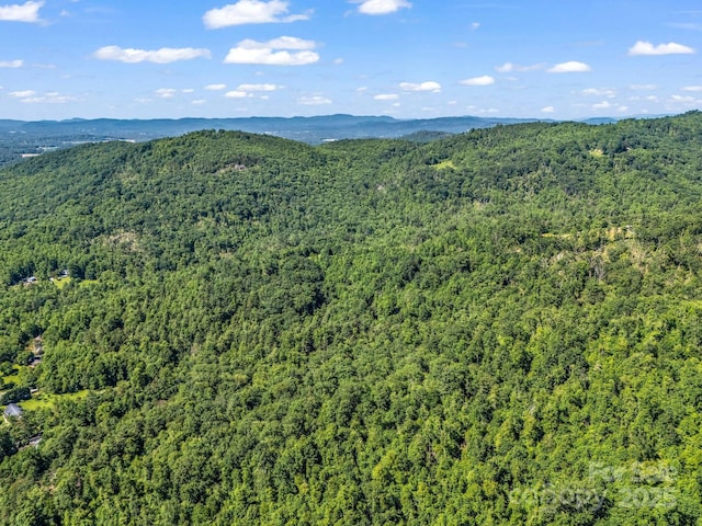 TBD Climbing Rd, Hendersonville, NC 28792