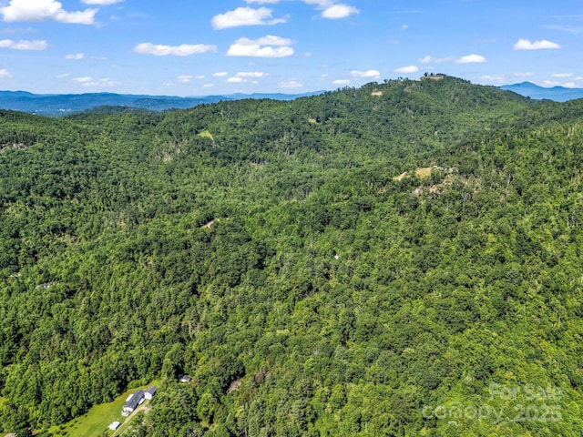 TBD Climbing Rd, Hendersonville, NC 28792