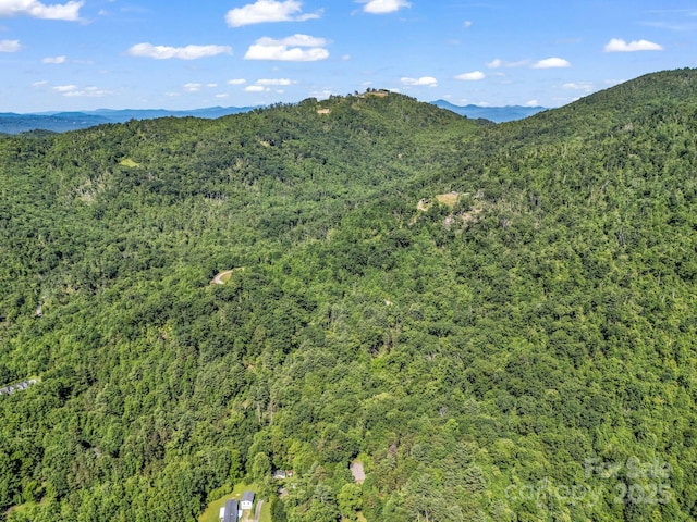 TBD Climbing Rd, Hendersonville, NC 28792
