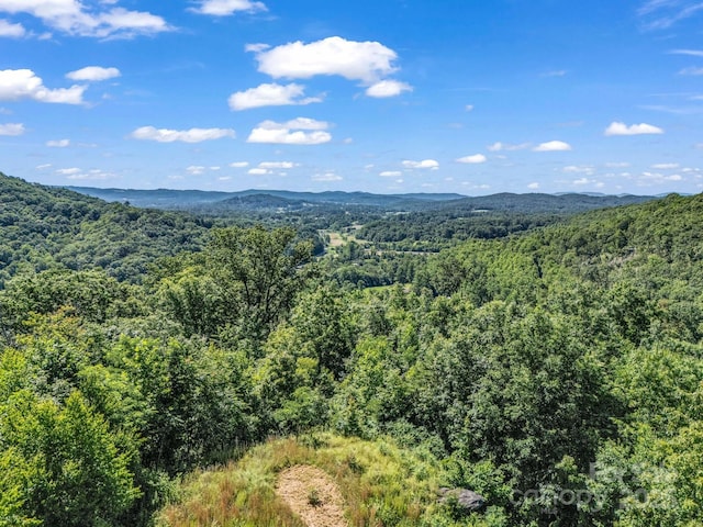 TBD Climbing Rd, Hendersonville, NC 28792