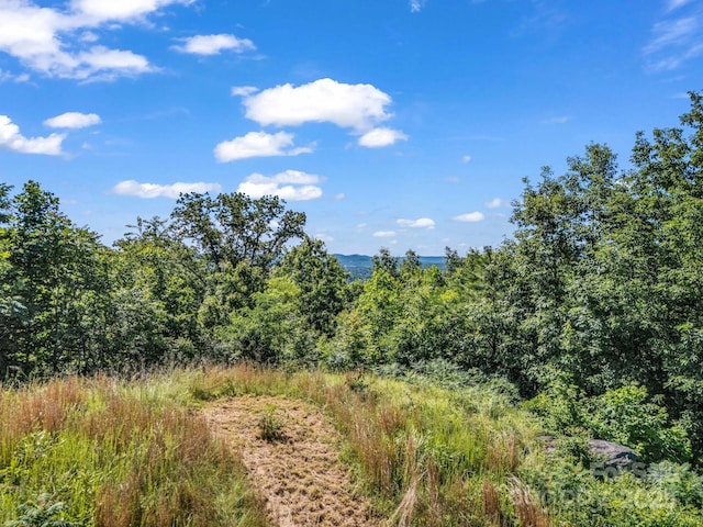 TBD Climbing Rd, Hendersonville, NC 28792