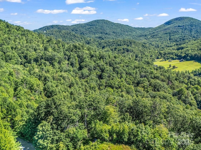 TBD Climbing Rd, Hendersonville, NC 28792