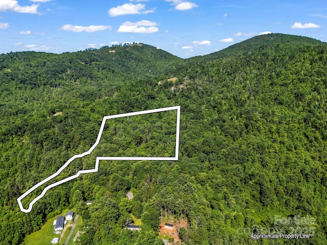TBD Climbing Rd, Hendersonville, NC 28792
