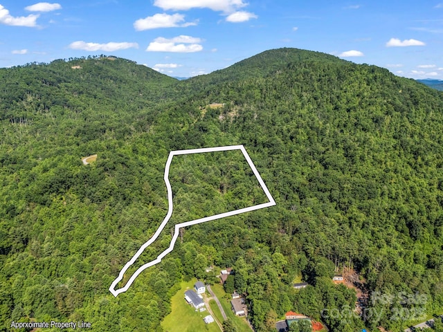TBD Climbing Rd, Hendersonville, NC 28792