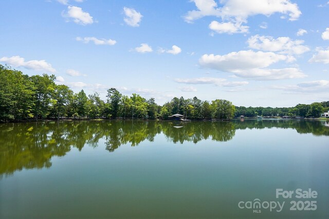 4485 River Oaks Rd, Lake Wylie, SC 29710 - photo 41