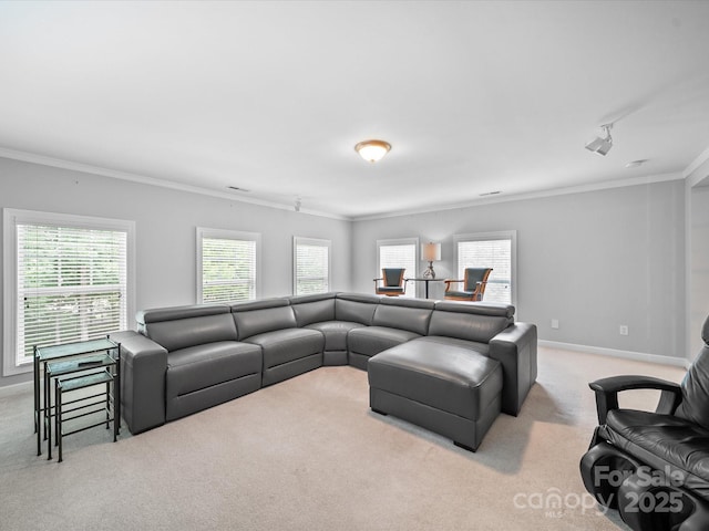 1808 Mill Chase Ln, Waxhaw, NC 28173 - carpeted living area with crown molding and baseboards