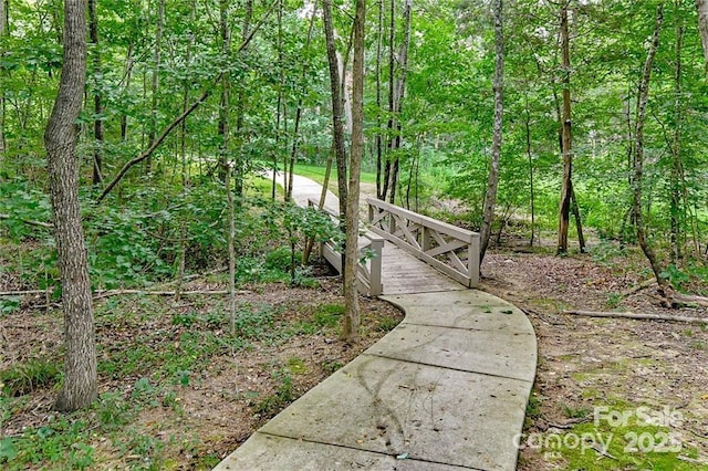 1808 Mill Chase Ln, Waxhaw, NC 28173 - surrounding community