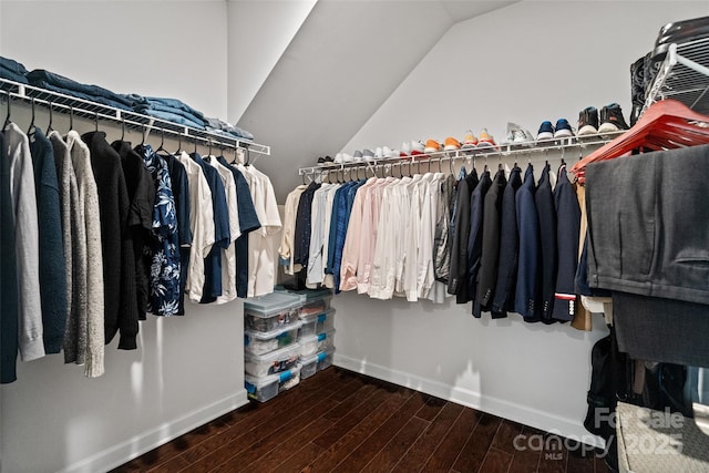 17733 Burnt Hickory Dr, Charlotte, NC 28278 - walk in closet with wood finished floors and vaulted ceiling