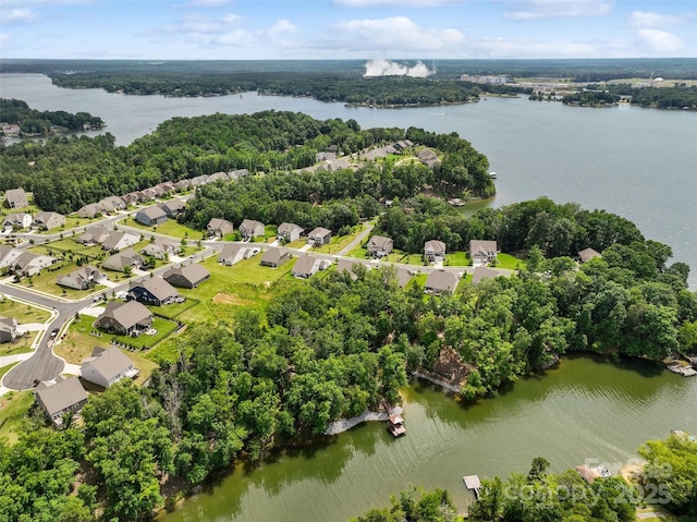 17733 Burnt Hickory Dr, Charlotte, NC 28278 - aerial view of residential area with a nearby body of water