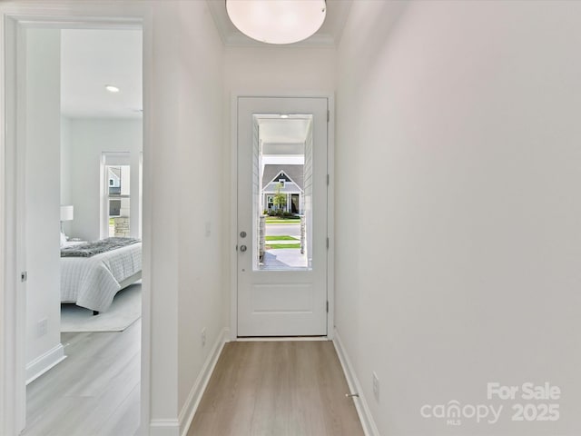 1120 Idyllic Ln, Waxhaw, NC 28173 - entryway featuring light wood-style flooring and baseboards