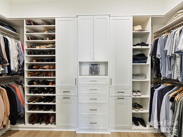1120 Idyllic Ln, Waxhaw, NC 28173 - walk in closet featuring light wood-type flooring