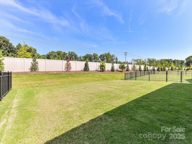1120 Idyllic Ln, Waxhaw, NC 28173 - view of yard
