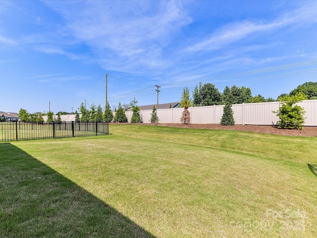 1120 Idyllic Ln, Waxhaw, NC 28173 - view of yard