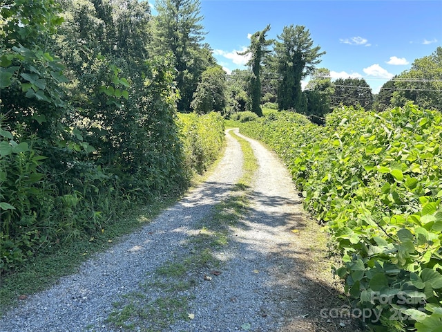 184 Dillard Ln, Rutherfordton, NC 28139