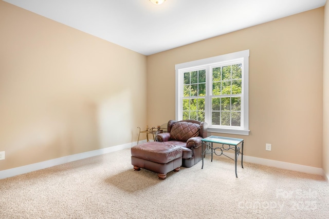 738 Kemp Rd, Mooresville, NC 28117 - photo 36