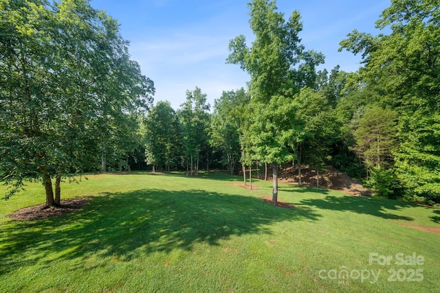 4660 Sugar Plum Ln, Davidson, NC 28036 - photo 42