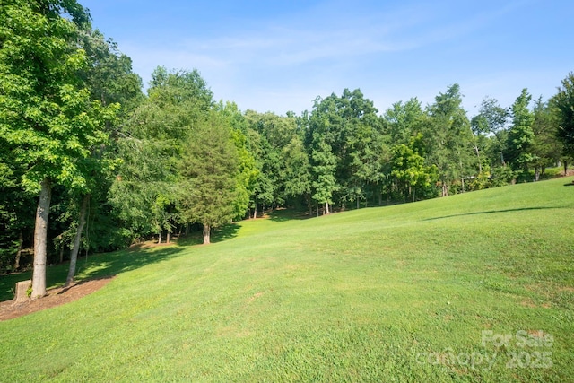 4660 Sugar Plum Ln, Davidson, NC 28036 - photo 44