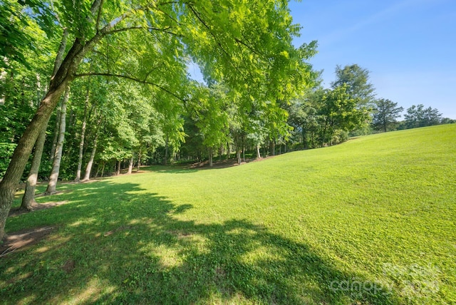 4660 Sugar Plum Ln, Davidson, NC 28036 - photo 45