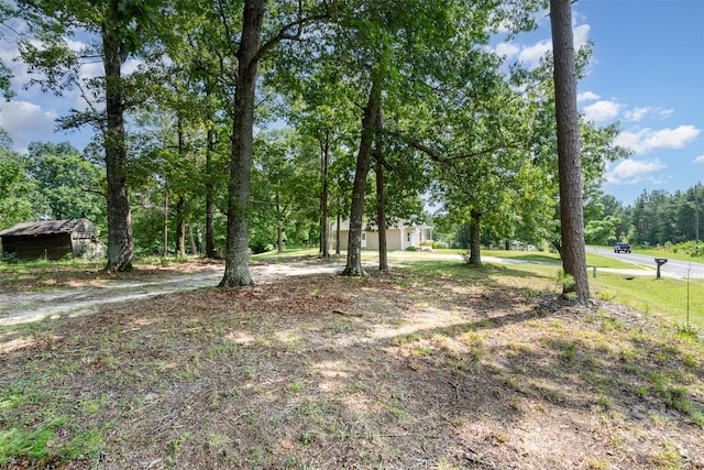 213 Pinewood Dr, Grover, NC 28073 - view of yard
