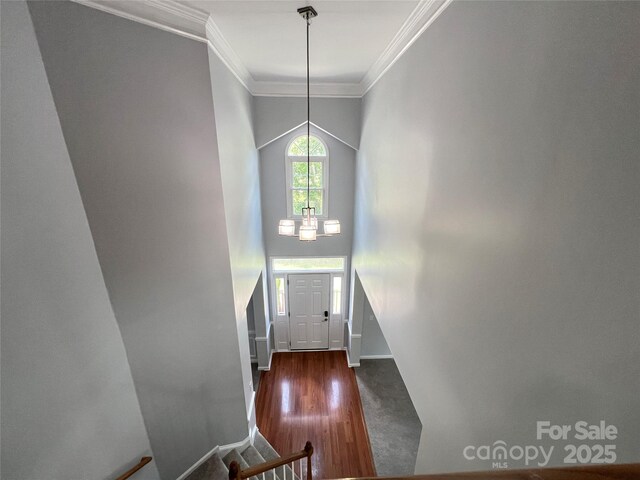 2609 Lamp Post Ln, Kannapolis, NC 28081 - entrance foyer with crown molding, a high ceiling, and dark wood finished floors