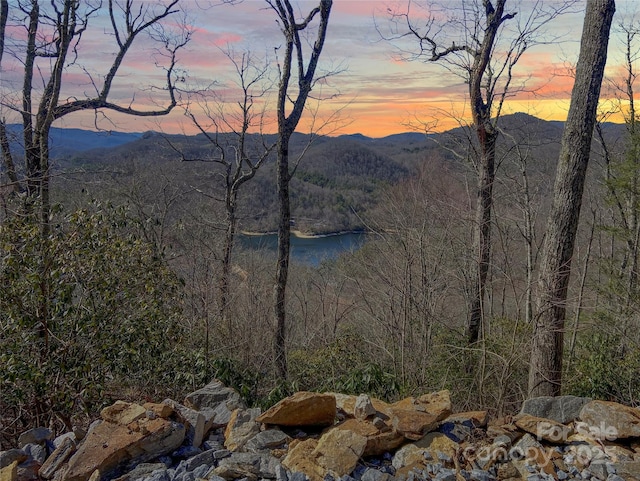 LT15A Von Trapp Ln Unit 15A, Tuckasegee, NC 28783
