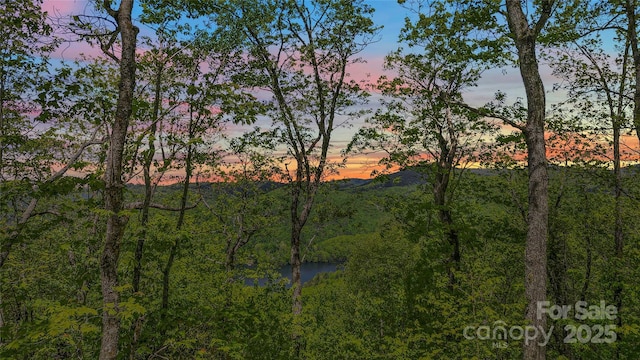 LT15A Von Trapp Ln Unit 15A, Tuckasegee, NC 28783