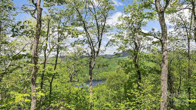 LT15A Von Trapp Ln Unit 15A, Tuckasegee, NC 28783