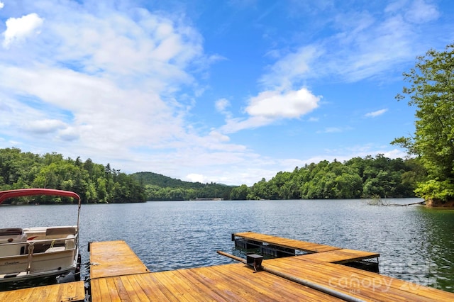 LT15A Von Trapp Ln Unit 15A, Tuckasegee, NC 28783