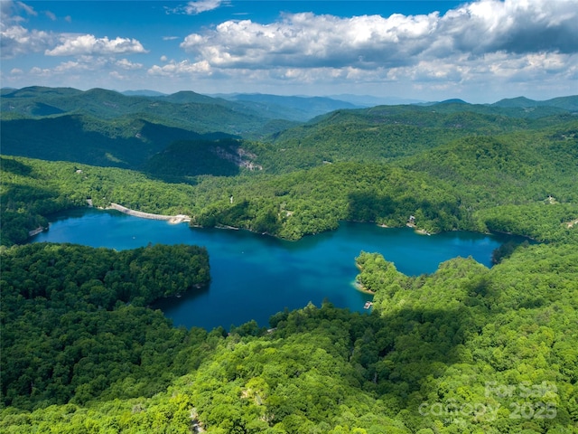 LT15A Von Trapp Ln Unit 15A, Tuckasegee, NC 28783