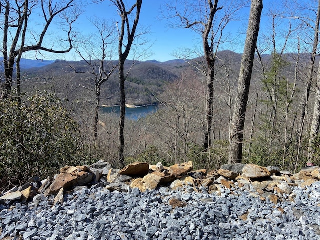 LT15A Von Trapp Ln Unit 15A, Tuckasegee, NC 28783