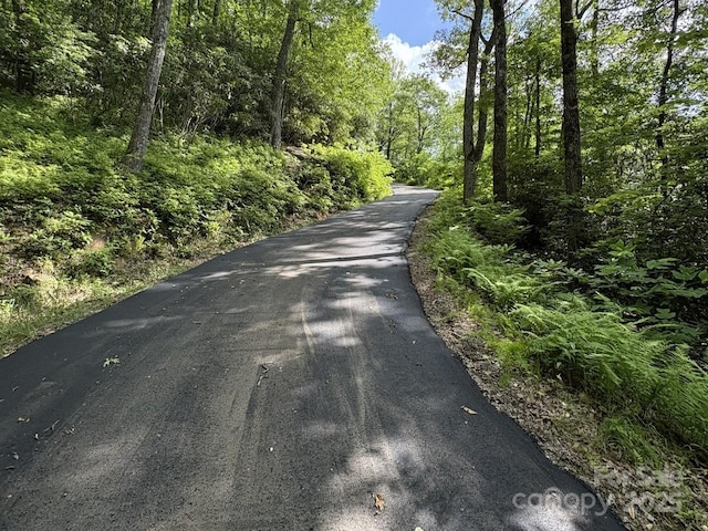 LT15A Von Trapp Ln Unit 15A, Tuckasegee, NC 28783