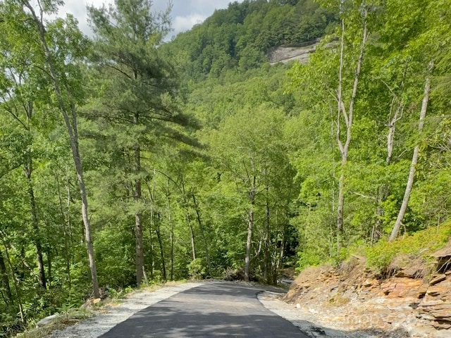 LT15A Von Trapp Ln Unit 15A, Tuckasegee, NC 28783