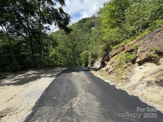 LT15A Von Trapp Ln Unit 15A, Tuckasegee, NC 28783