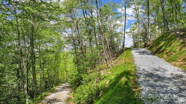 LT15A Von Trapp Ln Unit 15A, Tuckasegee, NC 28783