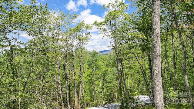 LT15A Von Trapp Ln Unit 15A, Tuckasegee, NC 28783