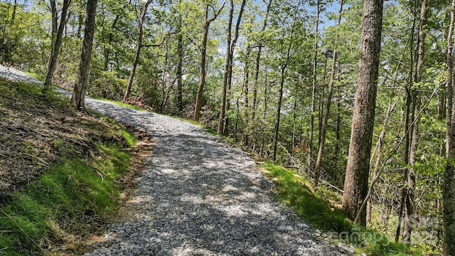 LT15A Von Trapp Ln Unit 15A, Tuckasegee, NC 28783