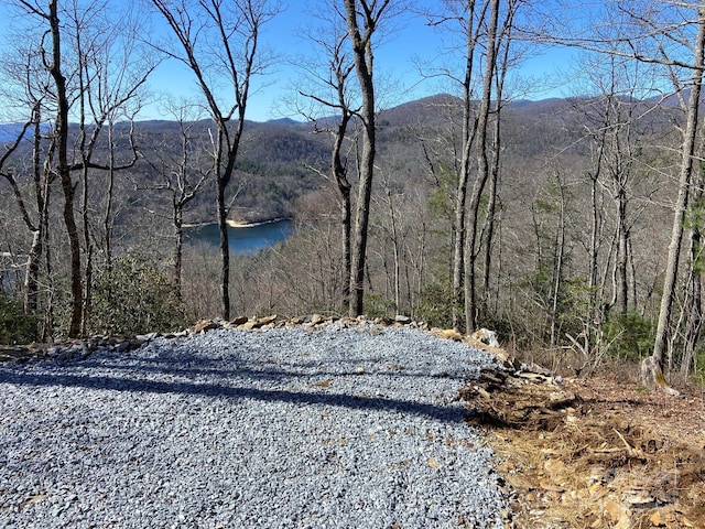 LT15A Von Trapp Ln Unit 15A, Tuckasegee, NC 28783