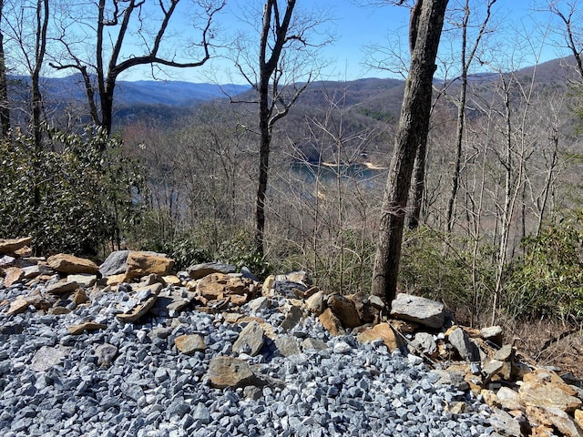 LT15A Von Trapp Ln Unit 15A, Tuckasegee, NC 28783
