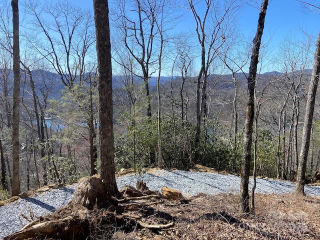 LT15A Von Trapp Ln Unit 15A, Tuckasegee, NC 28783