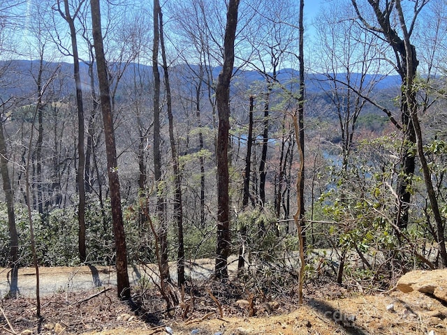 LT15A Von Trapp Ln Unit 15A, Tuckasegee, NC 28783