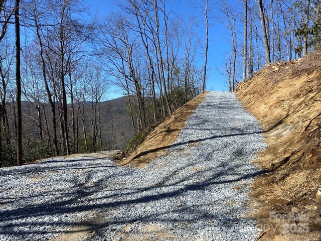 LT15A Von Trapp Ln Unit 15A, Tuckasegee, NC 28783