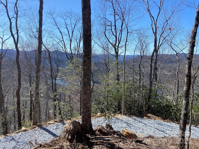 LT15A Von Trapp Ln Unit 15A, Tuckasegee, NC 28783