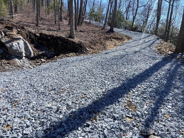 LT15A Von Trapp Ln Unit 15A, Tuckasegee, NC 28783