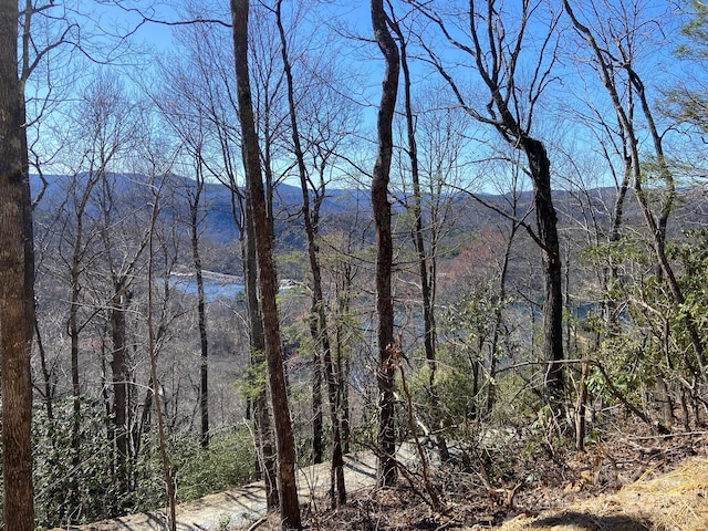 LT15A Von Trapp Ln Unit 15A, Tuckasegee, NC 28783