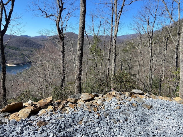 LT15A Von Trapp Ln Unit 15A, Tuckasegee, NC 28783