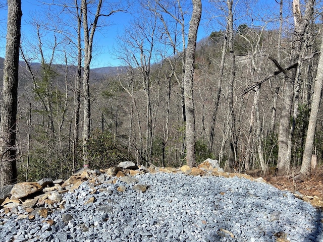 LT15A Von Trapp Ln Unit 15A, Tuckasegee, NC 28783