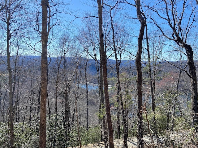 LT15A Von Trapp Ln Unit 15A, Tuckasegee, NC 28783